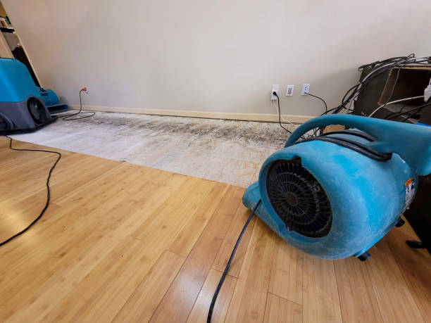 Professional Basement Flood Cleanup technician working in Gadsden, TN
